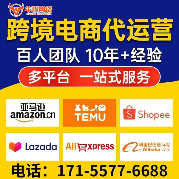 湘乡电商代运营