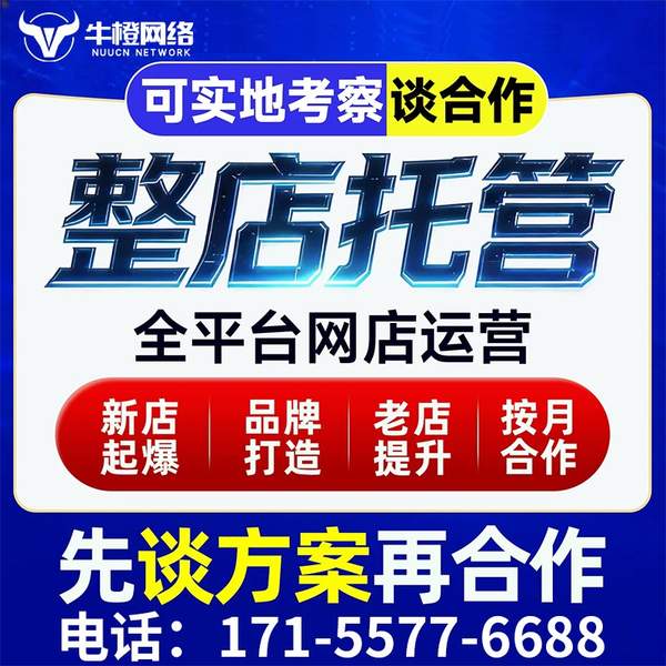 湘乡电商代运营