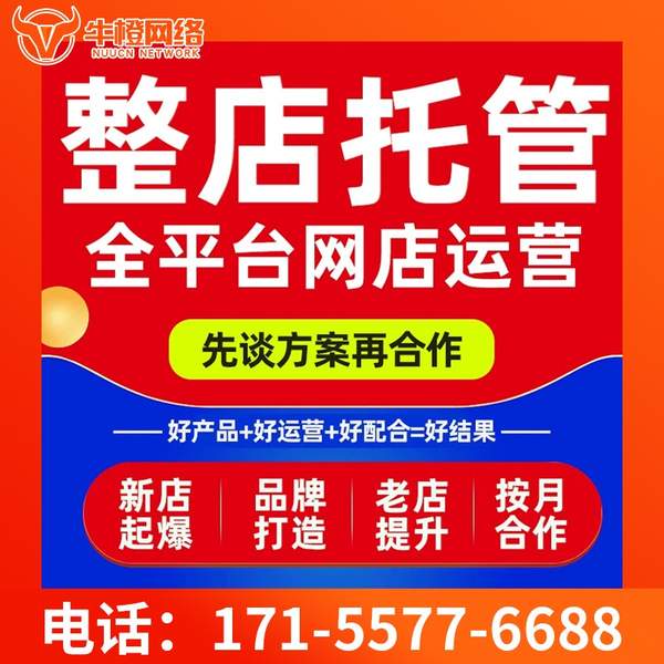 湘乡电商代运营