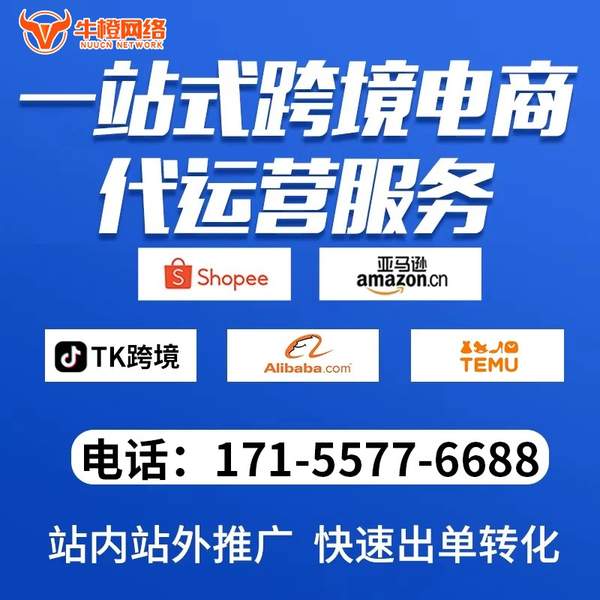 湘乡电商代运营