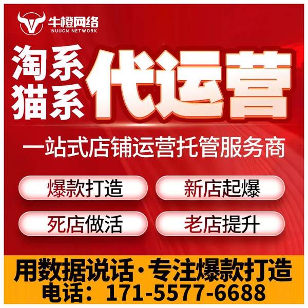 湘乡电商代运营